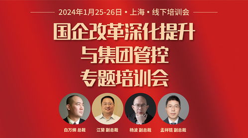華彩咨詢(xún) 國(guó)資國(guó)企與集團(tuán)類(lèi)企業(yè)的定制化管理咨詢(xún)服務(wù)專(zhuān)家